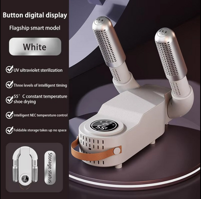 Electric Shoe Dryer & Deodorizer Machine